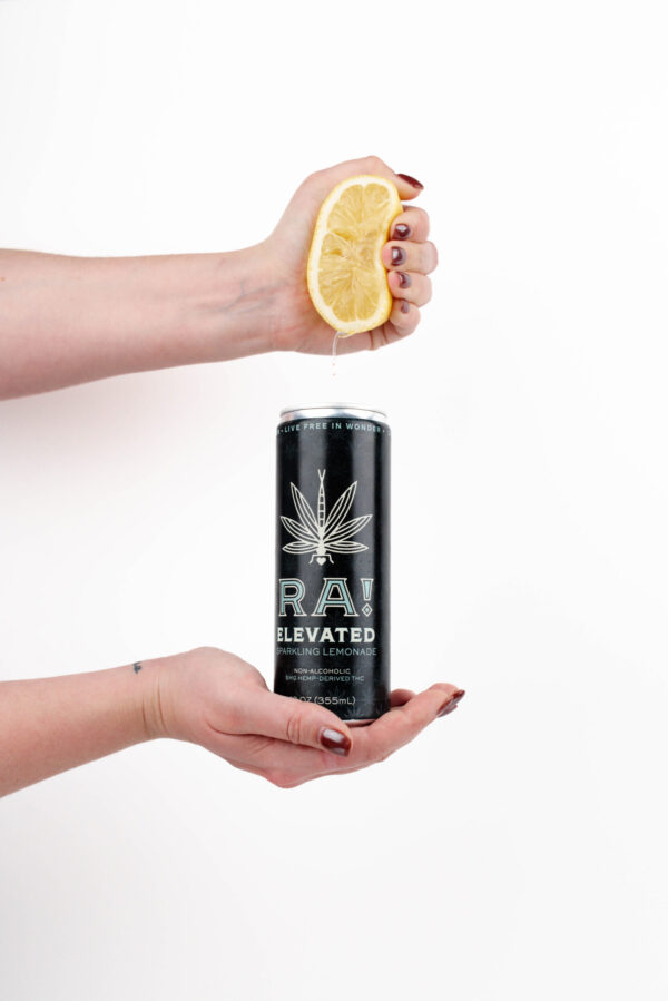 Elevated Sparkling Lemonade Beverage - Image 2