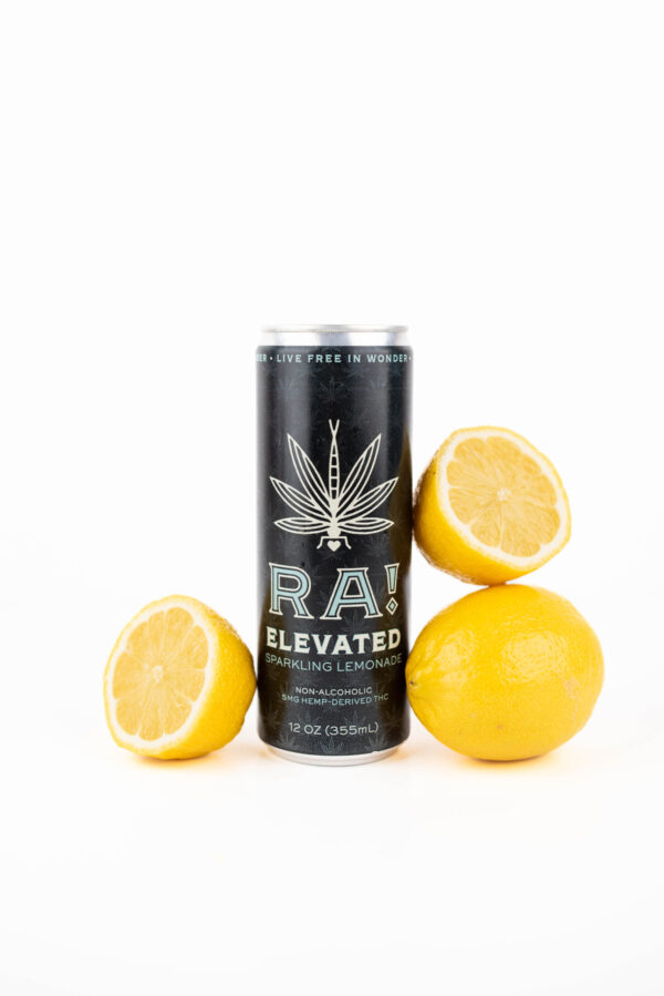 Elevated Sparkling Lemonade Beverage - Image 3