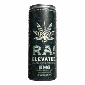 Elevated Sparkling Lemonade Beverage